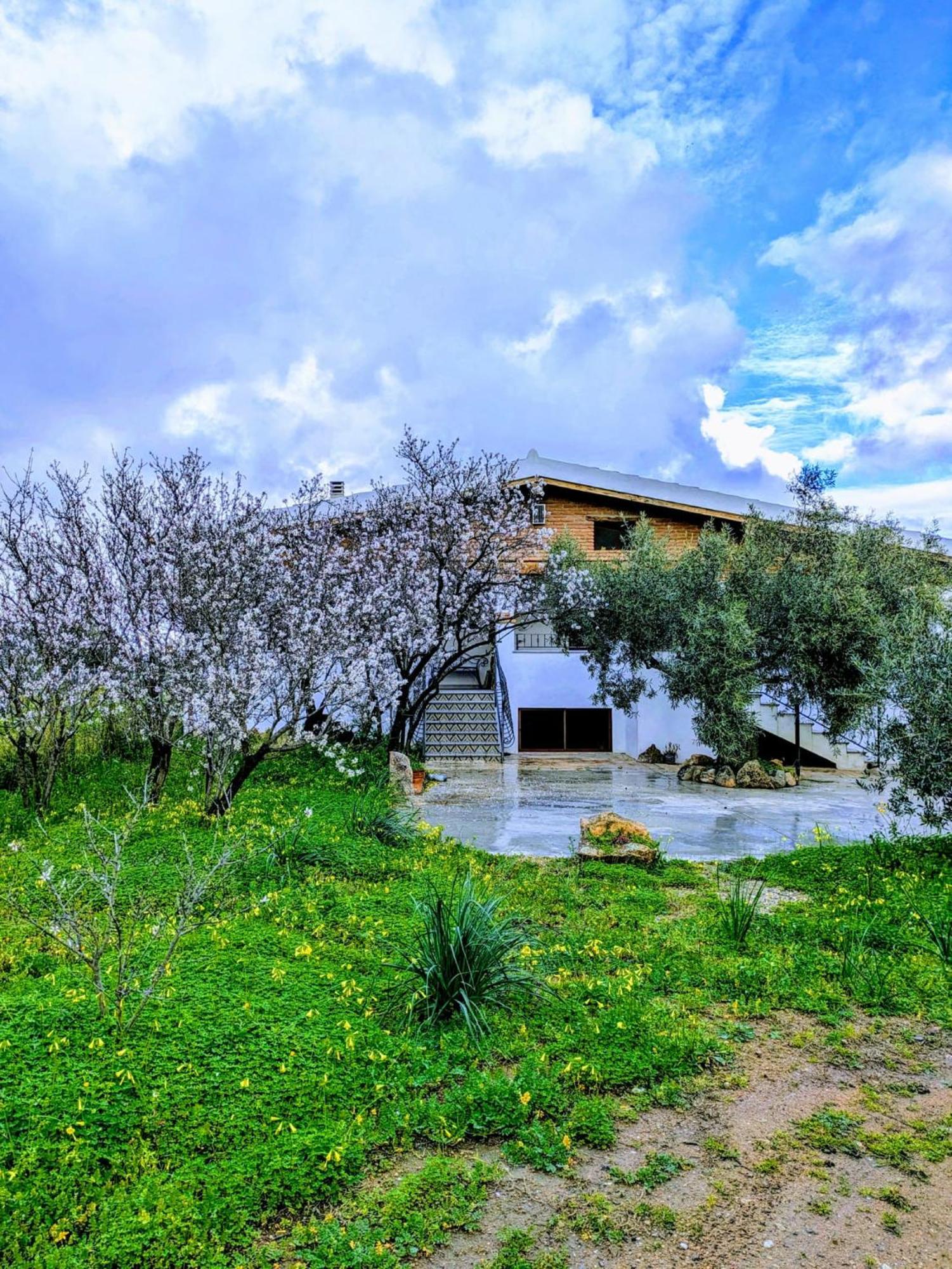 סיניסקולה Agriturismo "Pirastreri" מראה חיצוני תמונה