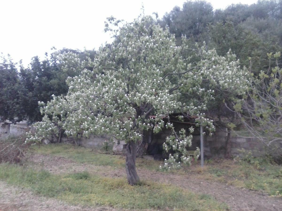 סיניסקולה Agriturismo "Pirastreri" מראה חיצוני תמונה