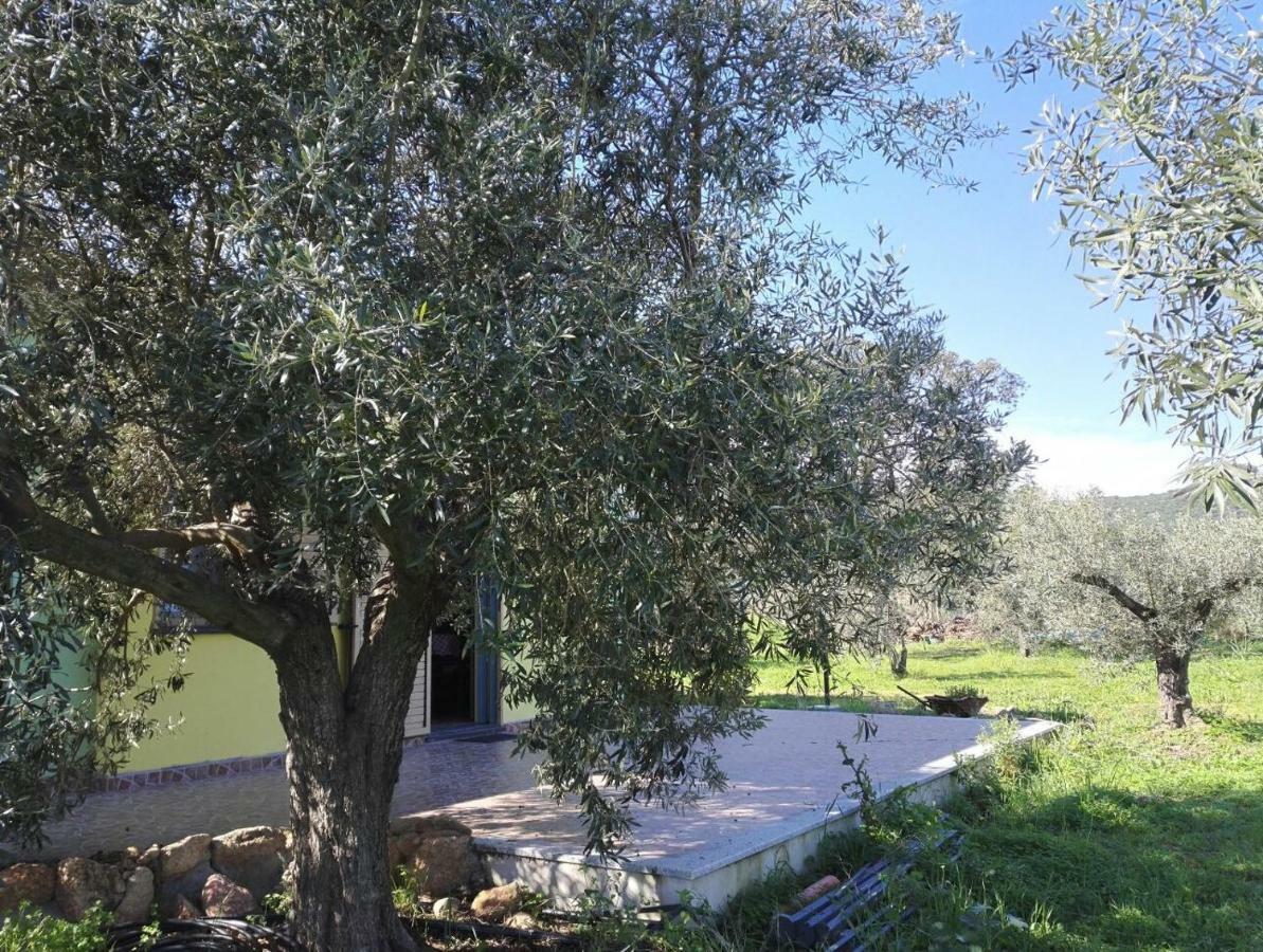 סיניסקולה Agriturismo "Pirastreri" מראה חיצוני תמונה